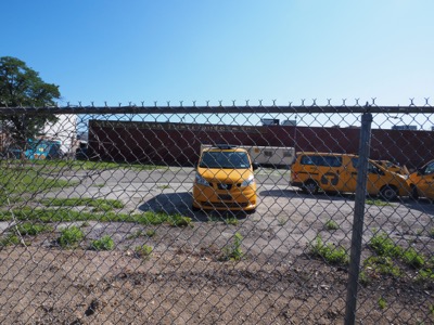 Summer in NYC photograph 2